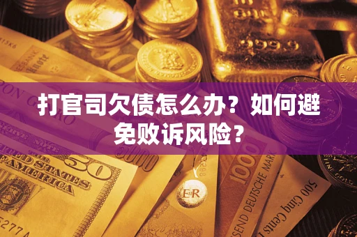 北京打官司欠债怎么办？如何避免败诉风险？