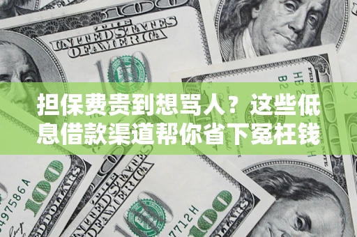 北京担保费贵到想骂人？这些低息借款渠道帮你省下冤枉钱