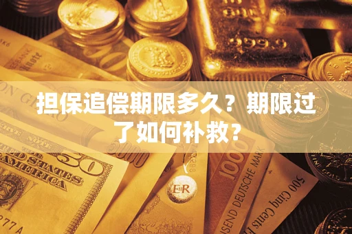 北京担保追偿期限多久？期限过了如何补救？