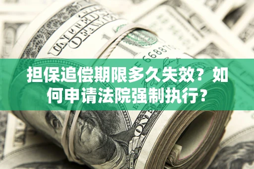 北京担保追偿期限多久失效？如何申请法院强制执行？